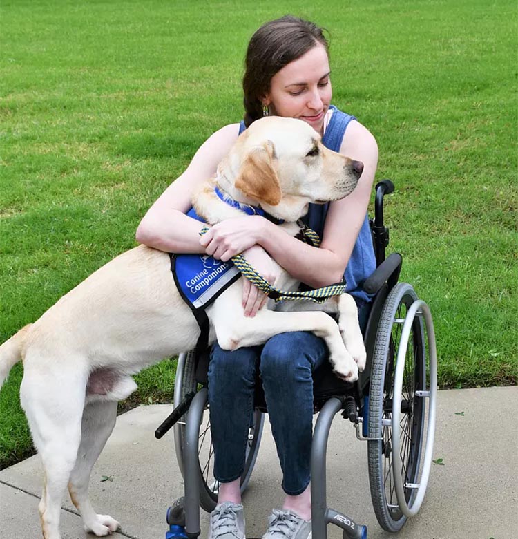 a young woman in a wheelchair hugging a yellow Labrador with its front legs on her lap, wearing a blue vest