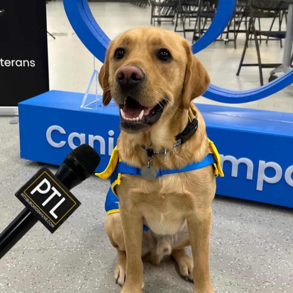 Donny A yellow Labrador Retriever wearing a yellow and blue vest sits in front of a 'Canine Companions' sign, with a microphone labeled 'PTL' held up to the dog